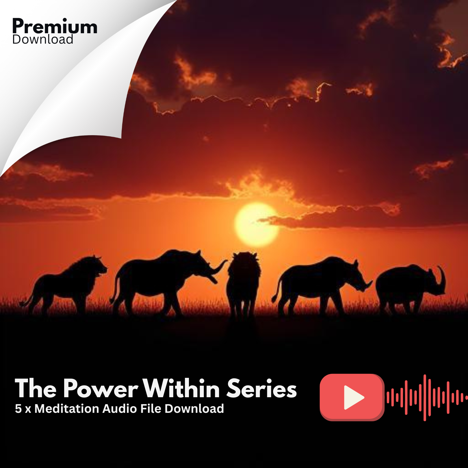 Series: The Power Within